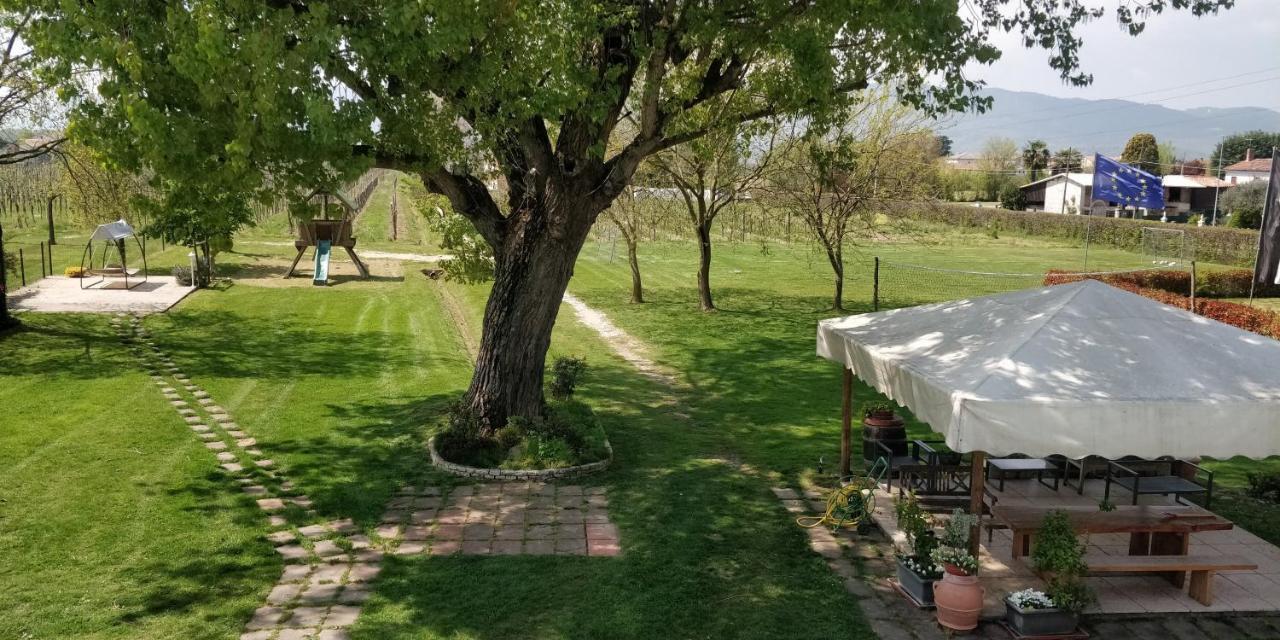 Agriturismo L'Albara - Wines, Pool & Spa Villaganzerla Exterior foto
