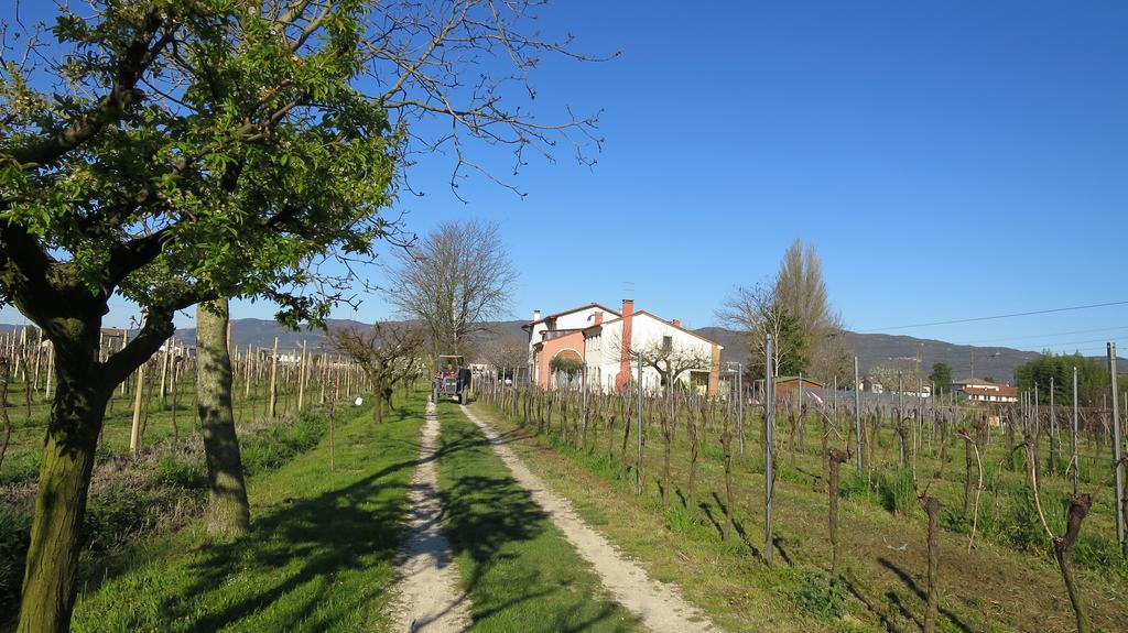 Agriturismo L'Albara - Wines, Pool & Spa Villaganzerla Exterior foto