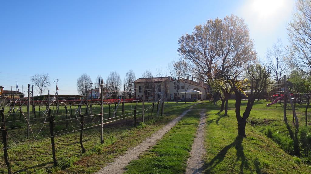Agriturismo L'Albara - Wines, Pool & Spa Villaganzerla Exterior foto