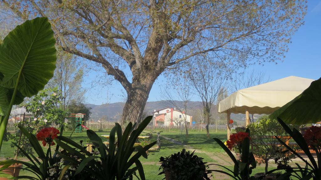 Agriturismo L'Albara - Wines, Pool & Spa Villaganzerla Exterior foto