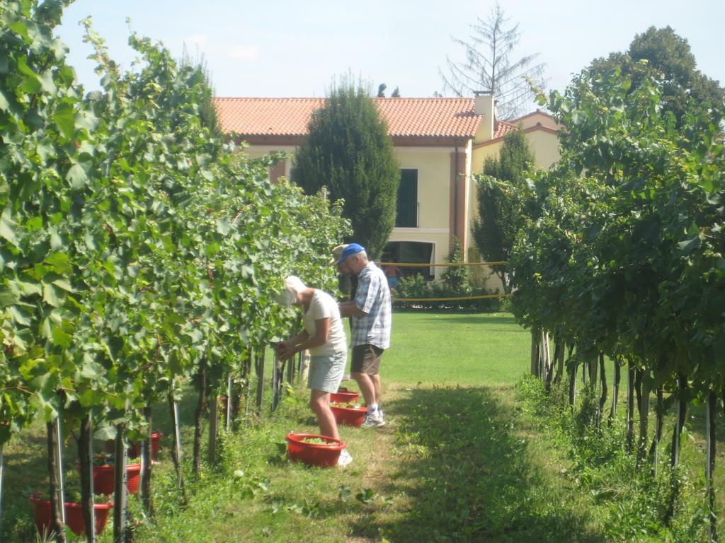 Agriturismo L'Albara - Wines, Pool & Spa Villaganzerla Exterior foto