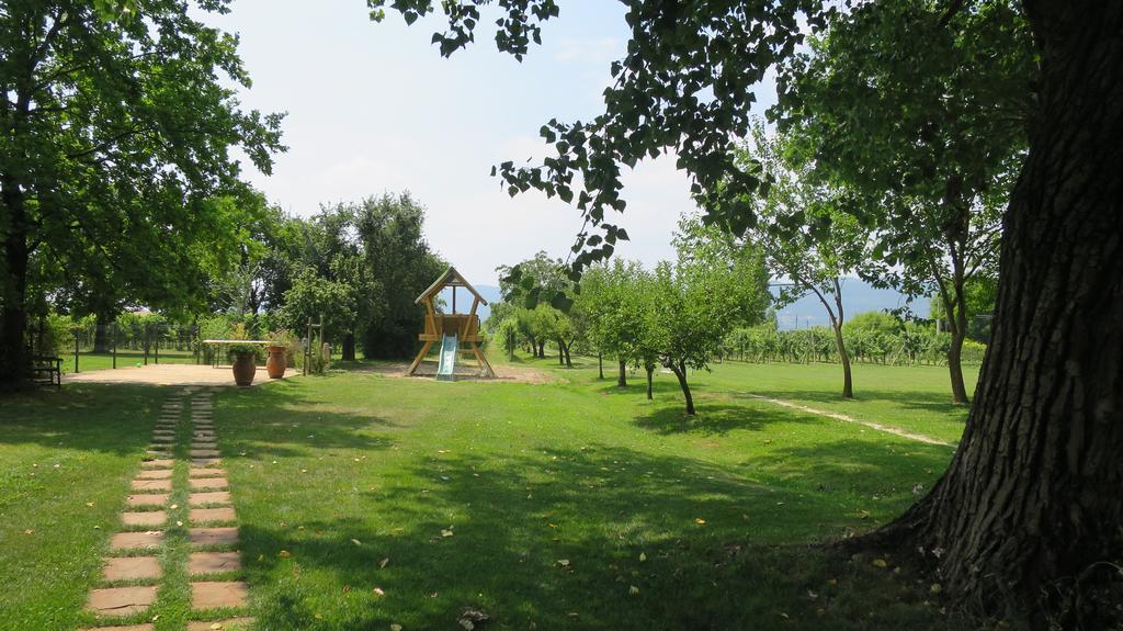 Agriturismo L'Albara - Wines, Pool & Spa Villaganzerla Exterior foto